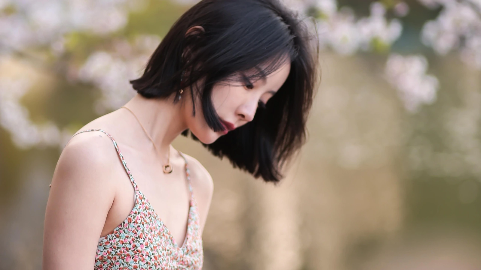 蜻蜓梦又梦