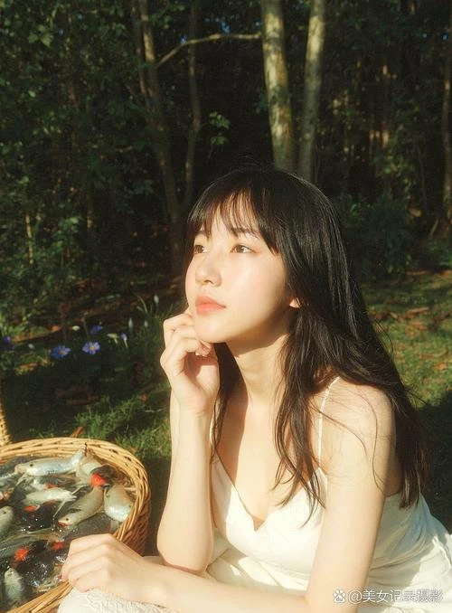 雾尾粉丝团隐藏彩蛋全解析