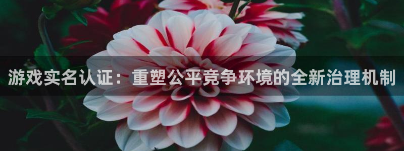 杏运注册平台：游戏实名认证：重塑公平竞争环境的全新治理机制