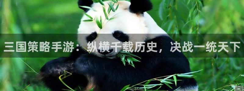 杏运体育官方网址：三国策略手游：纵横千载历史，决战一统天下