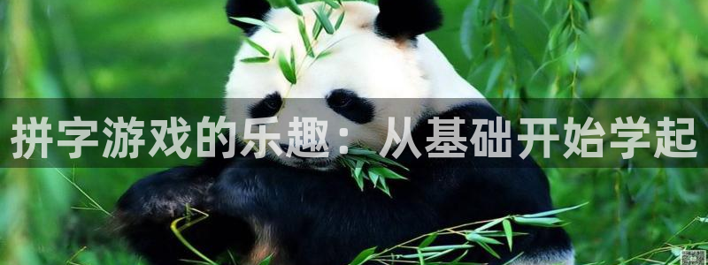 杏运体育app下载安装：拼字游戏的乐趣：从基础开始学起
