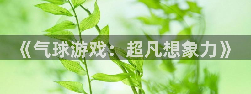 杏运娱乐注册资金多少：《气球游戏：超凡想象力》